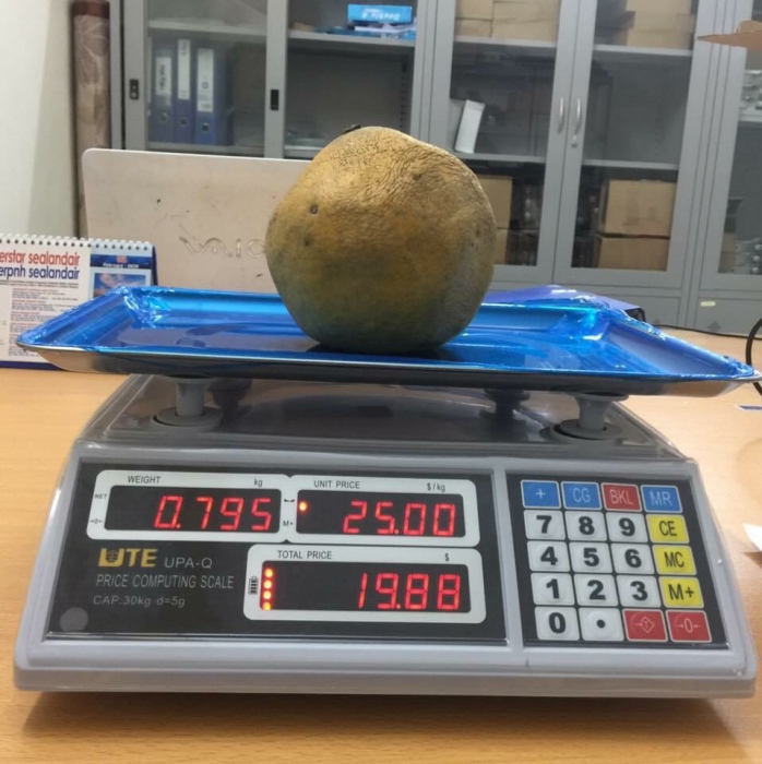 Cân Điện Tử Tính Tiền UTE 30kg