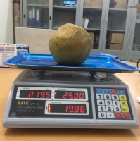 Cân Điện Tử Tính Tiền UTE 30kg