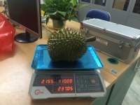 Cân Điện Tử Tính Tiền CLEVER