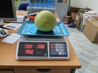 Cân tính giá ACS 723